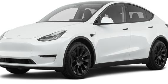 TESLA MODEL Y 2021 5YJYGDEE9MF151923 image